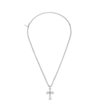 Load image into Gallery viewer, PEAGN0011001_01