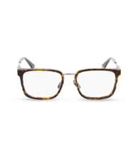 Load image into Gallery viewer, VPLF09 530509_01