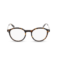 Load image into Gallery viewer, VPLG27 490909_01