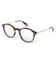 Load image into Gallery viewer, VPLG27 490909_02