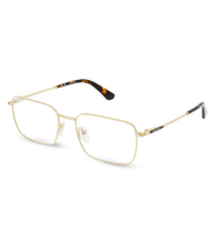 Load image into Gallery viewer, VPLG69 530300_02